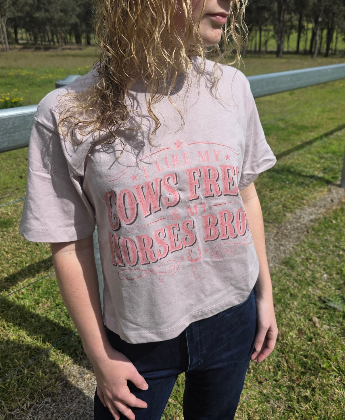 Cows Fresh Horses Broke Cropped Tee